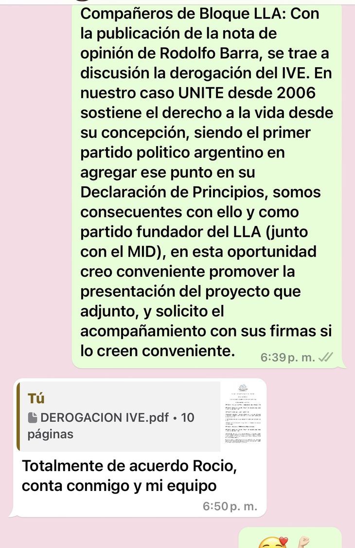 Para obtener las firmas sobre el proyecto de derogación de despenalización del aborto, Rocío Bonacci aseguró que consiguió el consenso de sus compañeros de bloque a través de WhatsApp.  Para obtener las firmas sobre el proyecto de derogación de despenalización del aborto, Rocío Bonacci aseguró que consiguió el consenso de sus compañeros de bloque a través de WhatsApp.