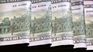 The dollar in Uruguay seems to have entered relative stability. The dollar in Uruguay seems to have entered relative stability.