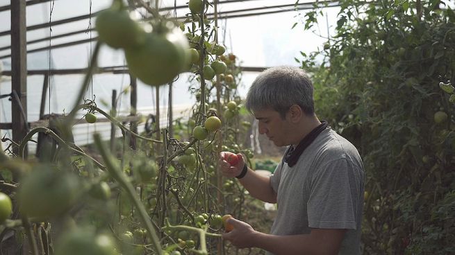 Lo que no engorda mata.jpg