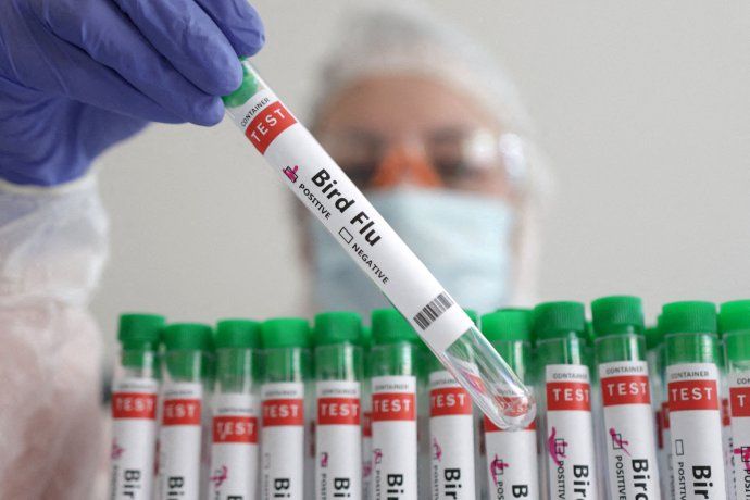 Los trabajadores de las granjas lecheras son las personas más expuestas al virus.