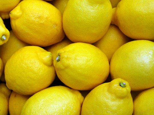 limones citricos.jpg