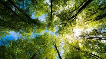 Naturaleza.&nbsp;