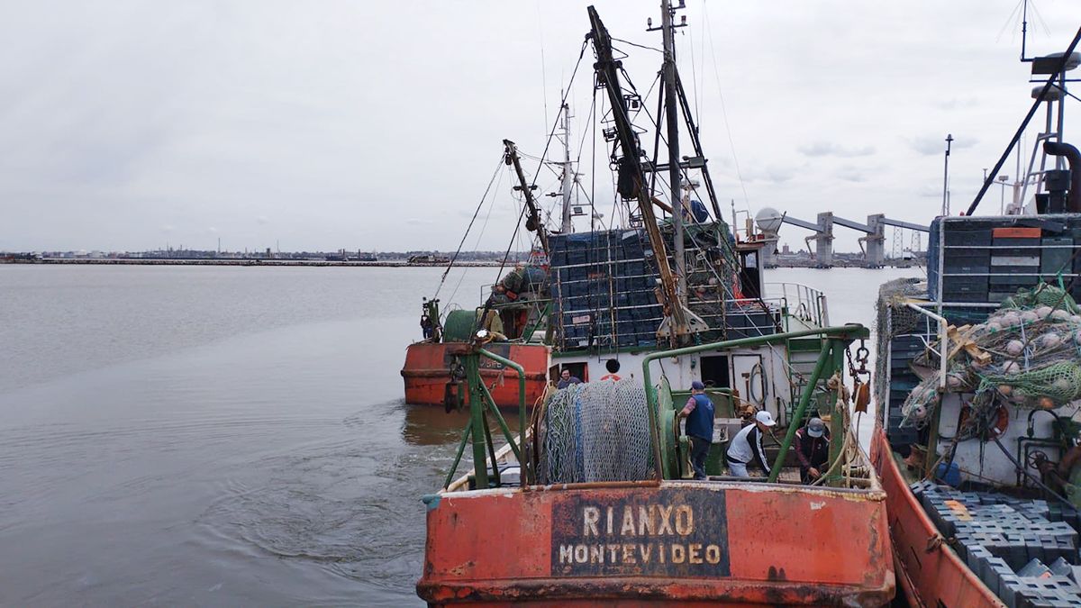 Uruguay Ministry of Labor and Social Security reaches agreement with Maritime Intergremial for special unemployment insurance in fishing sector