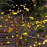 la escapada cerca de cdmx que espectaculo natural imperdible en junio 2026 la escapada cerca de cdmx que espectaculo natural imperdible en junio 2026