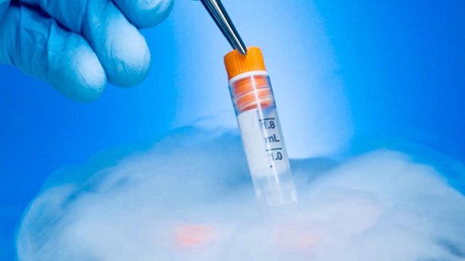 El tratamiento para congelar óvulos lo denominamos Criopreservación.