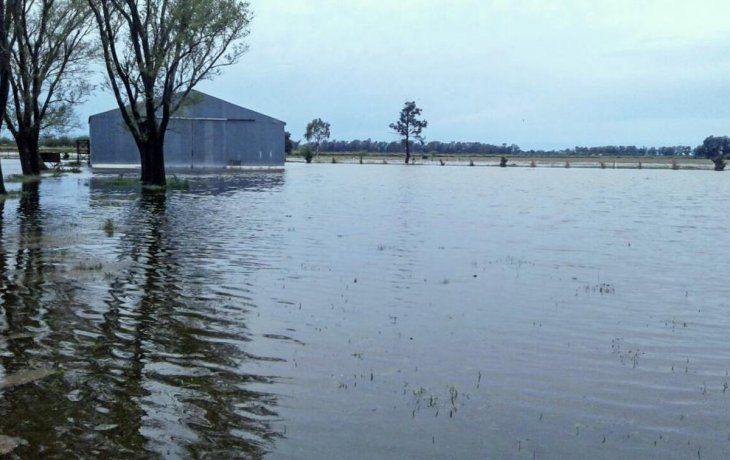 ámbito.com | campo lluvia.jpg