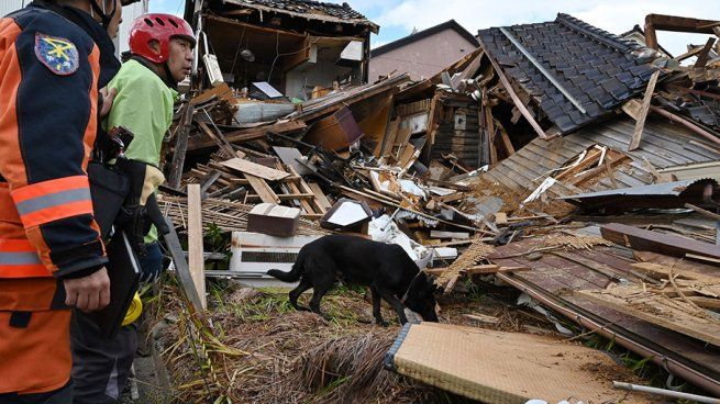 Elsa es “la mejor en el oeste de Japón”.