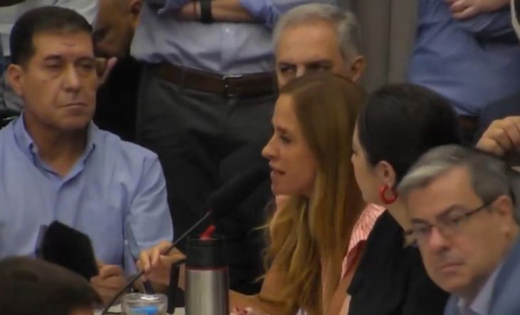 "Me niego a que no tengamos un dictamen propio basado en normas constitucionales", planteó Tolosa Paz al presentar el proyecto de UP. "Me niego a que no tengamos un dictamen propio basado en normas constitucionales", planteó Tolosa Paz al presentar el proyecto de UP.