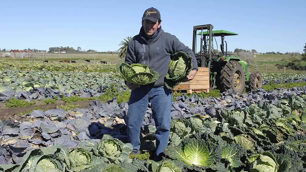 The BPS will postpone until July the payment of rural contributions