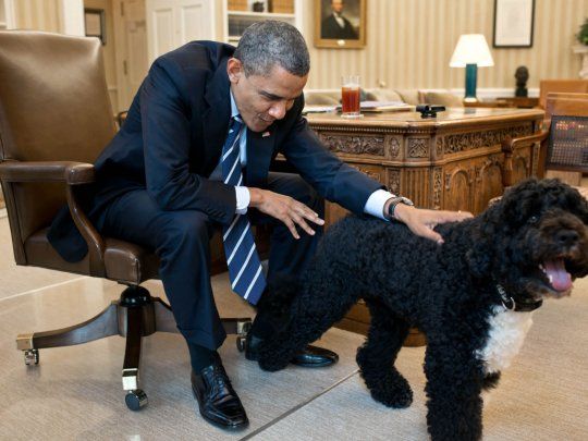 Obama y Bo. 