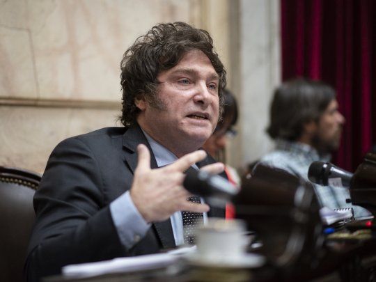 Javier Milei, candidato presidencial de La Libertad Avanza, en la Cámara de Diputados.&nbsp;
