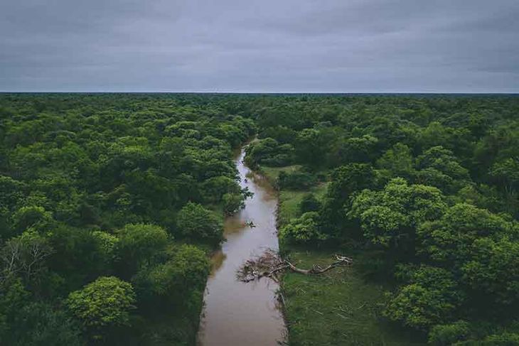 El Impenetrable chaqueño