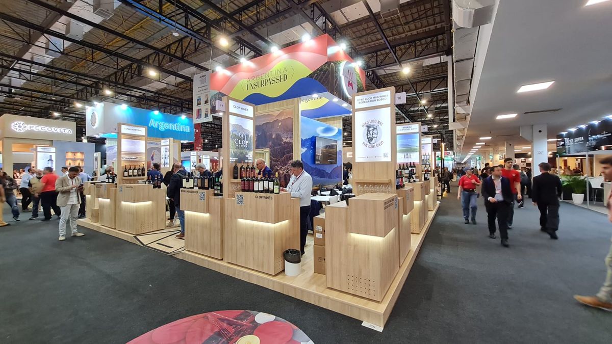 Argentine wineries point to Brazil as their main objective to increase wine exports