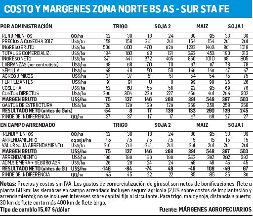 Maíz compite con la soja (foto 1)