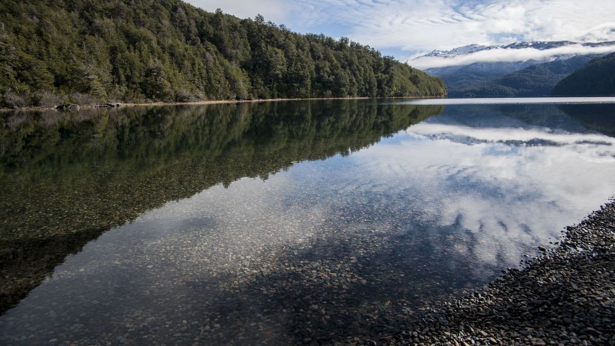 The Government will evict a Mapuche community from Los Alerces National Park