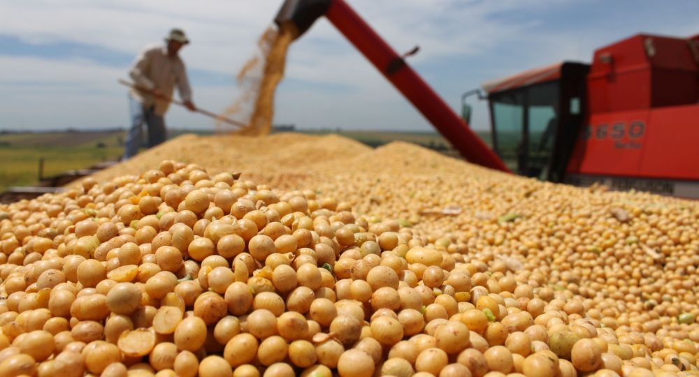 La exportación de granos sigue trabajando con altos niveles de capacidad ociosa, destacó CIARA-CEC.