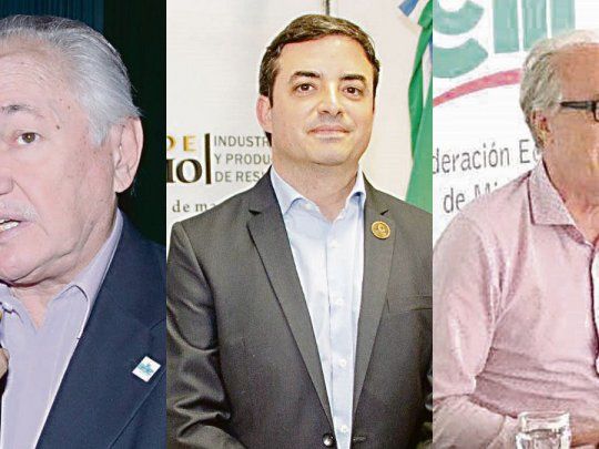 Enrique Zanin,&nbsp;Martín Giménez y&nbsp;Alejandro Haene.