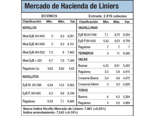 Terneros cayeron el 0,9% en Liniers