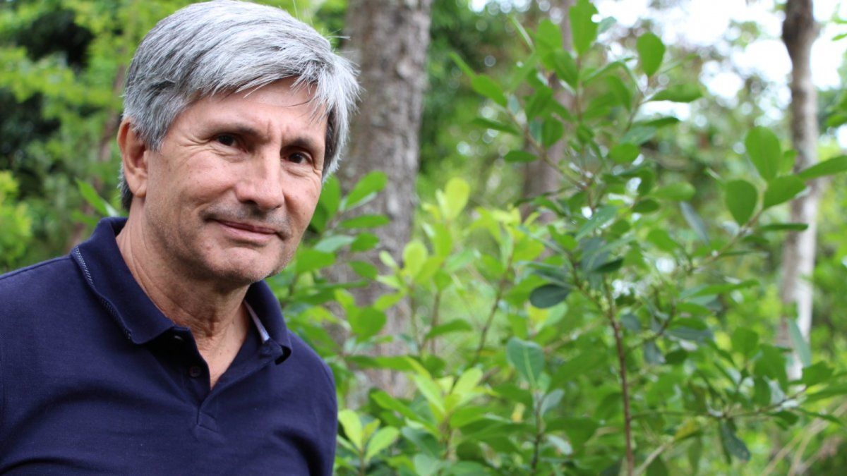 Yerba is one of the best regional economies in Argentina