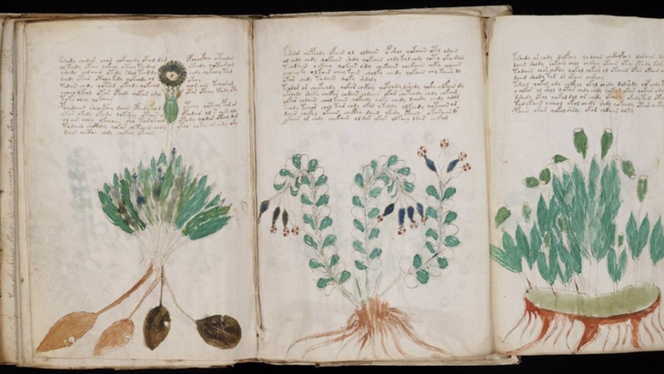 Manuscrito Voynich, el libro más misterioso del mundo: cuáles son sus partes Manuscrito Voynich, el libro más misterioso del mundo: cuáles son sus partes