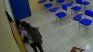 Una alumna apuñlaló a su profesora en Brasil.