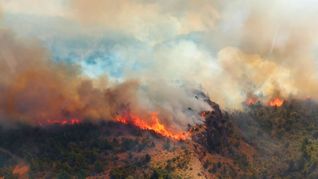 El Gobierno despliega ayuda para combatir los incendios forestales en el sur.