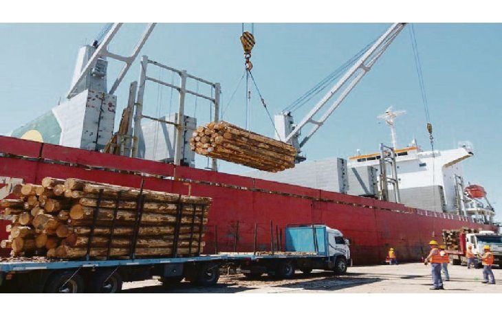 luz verde. El buque se prepara para transportar 20 mil toneladas de rollizos de pino hacia China, tras el fin de una polémica ley.