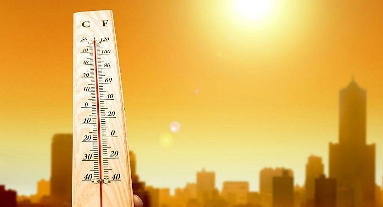 Se prevé que la tendencia seguirá en el futuro.