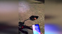 Las imágenes del robo y ataque fueron grabadas por las gafas de la propia víctima.
