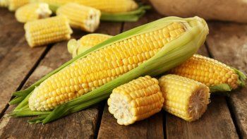 reclama el campo que se abra cupo especial para exportar maiz