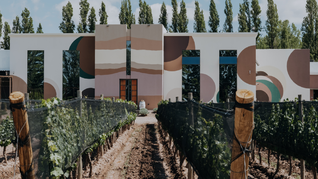 Proyecto de presentación de interés cultural concepto y mural Voces de la Tierra
