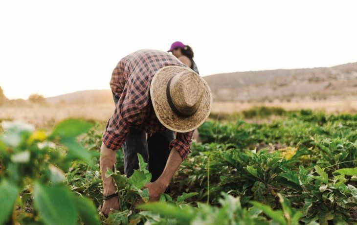 Argentina participará de un proyecto conjunto para asistir el desarrollo del Caribe
