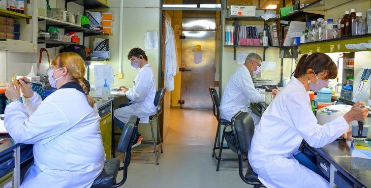 La investigación de la Universidad de Monash en Australia