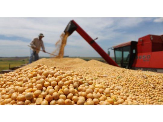 La soja se mantuvo estable a u$s 377,73 la tonelada