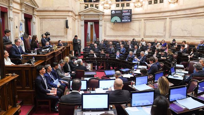 El Senado debatirá los vetos contra las leyes de financiamiento universitario y de emergencia pediátrica.