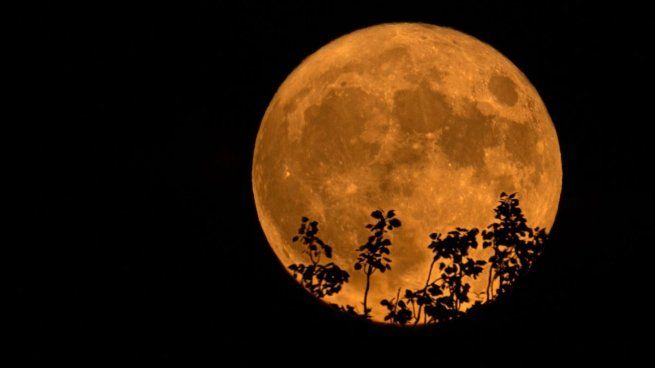 La Luna Llena de Ciervo es el próximo fenómeno que estará presente en el cielo nocturno durante julio.