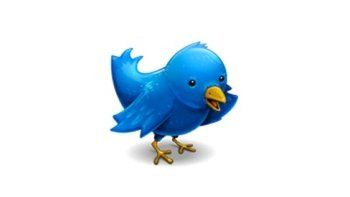 Twitter tiene cientos de millones de usuarios.