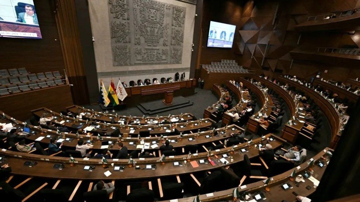 Bolivia aprobó un crédito de u$s1.900 millones con el FMI y eliminará los subsidios a los combustibles