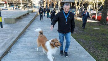 El precandidato del Frente de Todos, Alberto Fernández, junto a su perro Dylan.