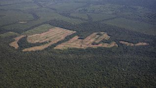 Estamos en camino de alcanzar la tasa de deforestación más baja de la historia en 2026, dijo Andre Lima, secretario especial de Brasil para el control de la deforestación. Estamos en camino de alcanzar la tasa de deforestación más baja de la historia en 2026, dijo Andre Lima, secretario especial de Brasil para el control de la deforestación.
