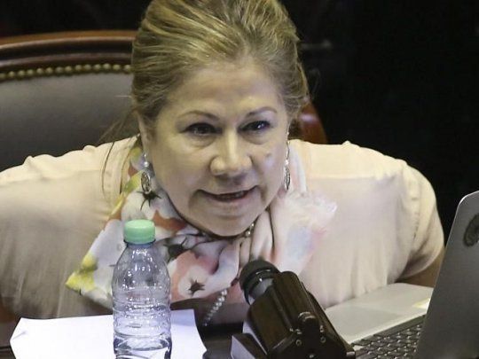 Graciela Camaño conformó el bloque Consenso Federal con otros tres diputados. 