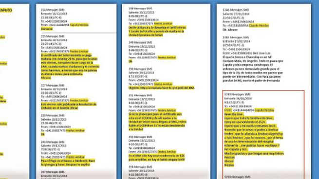 P10 - chats caputo_opt.jpeg