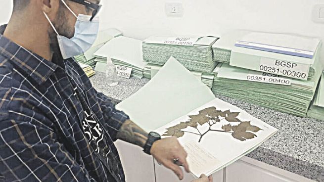 PAG21-HERBARIOS UNIVER_opt.jpeg