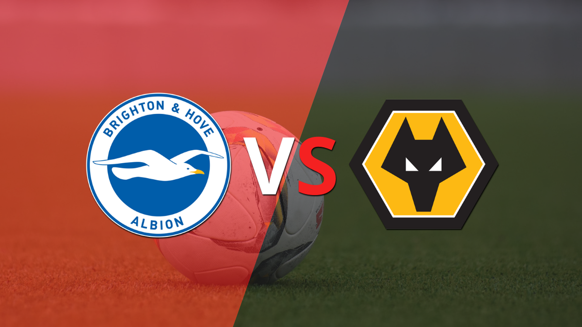 Wolverhampton wants to maintain its streak against Brighton and Hove