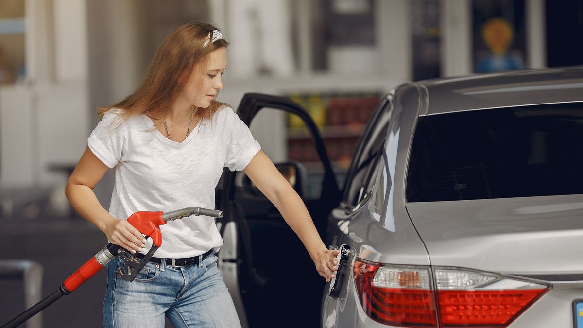 The price of oil stabilizes, but there is a dire forecast
