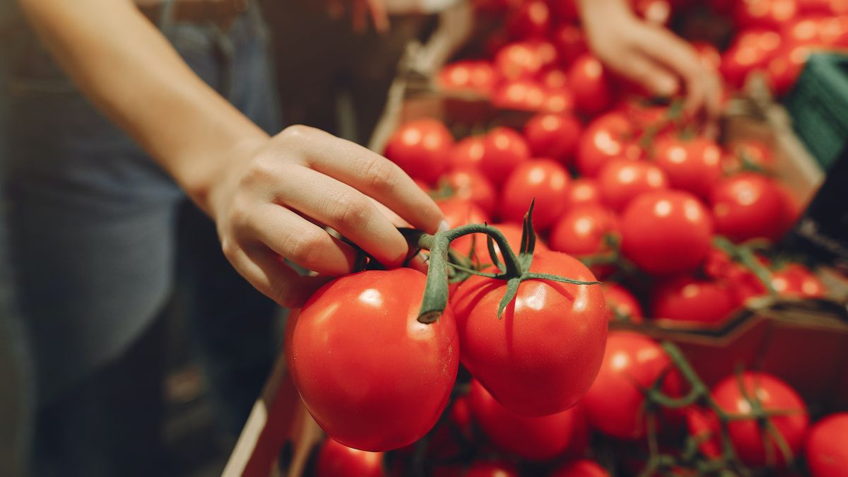 The price of tomatoes increased to 32.94% in May