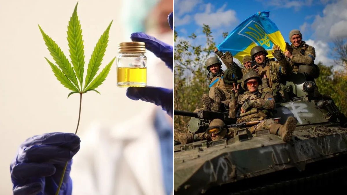 Ukraine seeks to legalize medical cannabis for ex-servicemen due to the traumas of the war with Russia Ukraine seeks to legalize medical cannabis for ex-servicemen due to the traumas of the war with Russia