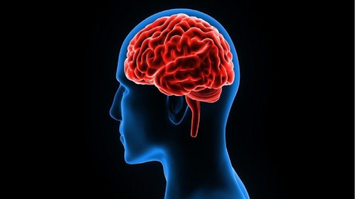 Salud: tres vitaminas para fortalecer el cerebro