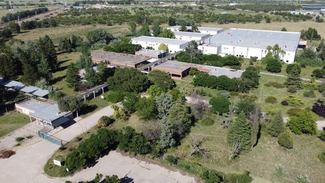 WhatsApp Image 2022-08-18 at 10.40.30 AM.jpeg