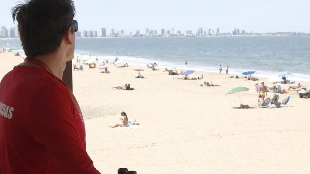 Punta del Este: an Argentine tourist hit a lifeguard who had rescued his son